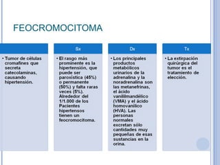 FEOCROMOCITOMA 