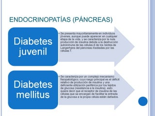 ENDOCRINOPATÍAS (PÁNCREAS) 