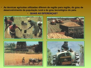 • As técnicas agrícolas utilizadas diferem de região para região, do grau de
desenvolvimento da população rural e do grau tecnológico do país.
• QUAIS AS DIFERENÇAS?
DESENVOLVIMENTO TECNOLÓGICO:
 