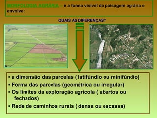 MORFOLOGIA AGRÁRIA – é a forma visível da paisagem agrária e
envolve:
▪ a dimensão das parcelas ( latifúndio ou minifúndio)
▪ Forma das parcelas (geométrica ou irregular)
▪ Os limites da exploração agrícola ( abertos ou
fechados)
▪ Rede de caminhos rurais ( densa ou escassa)
QUAIS AS DIFERENÇAS?
 