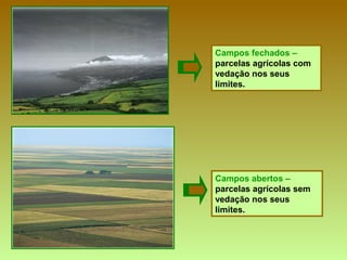 Campos abertos –
parcelas agrícolas sem
vedação nos seus
limites.
Campos fechados –
parcelas agrícolas com
vedação nos seus
limites.
 