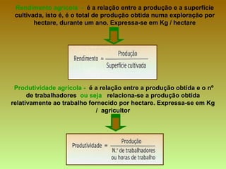 Rendimento agrícola - é a relação entre a produção e a superfície
cultivada, isto é, é o total de produção obtida numa exploração por
hectare, durante um ano. Expressa-se em Kg / hectare
Produtividade agrícola - é a relação entre a produção obtida e o nº
de trabalhadores ou seja relaciona-se a produção obtida
relativamente ao trabalho fornecido por hectare. Expressa-se em Kg
/ agricultor
 