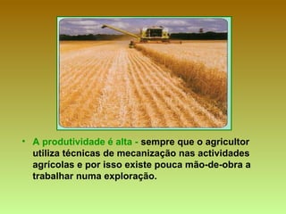 • A produtividade é alta - sempre que o agricultor
utiliza técnicas de mecanização nas actividades
agrícolas e por isso existe pouca mão-de-obra a
trabalhar numa exploração.
 