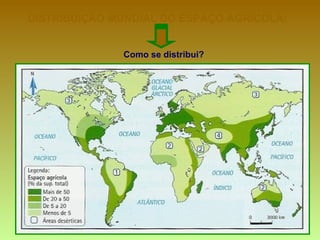 DISTRIBUIÇÃO MUNDIAL DO ESPAÇO AGRÍCOLA:
Como se distribui?
 