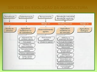 SÍNTESE DA EVOLUÇÃO DA AGRICULTURA
 