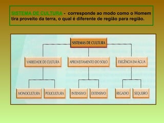 SISTEMA DE CULTURA - corresponde ao modo como o Homem
tira proveito da terra, o qual é diferente de região para região.
 