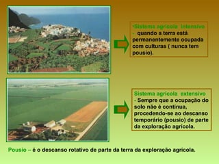 Pousio – é o descanso rotativo de parte da terra da exploração agrícola.
•Sistema agrícola intensivo
- quando a terra está
permanentemente ocupada
com culturas ( nunca tem
pousio).
Sistema agrícola extensivo
- Sempre que a ocupação do
solo não é contínua,
procedendo-se ao descanso
temporário (pousio) de parte
da exploração agrícola.
 