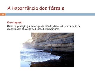 A importância dos fósseis
44




     Estratigrafia
     Ramo da geologia que se ocupa do estudo, descrição, correlação de
     idades e classificação das rochas sedimentares.
 