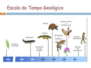 Escala do Tempo Geológico
68
 