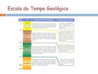 Escala do Tempo Geológico
72
 