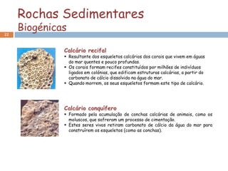 Rochas Sedimentares
22
     Biogénicas

              Calcário recifal
               Resultante dos esqueletos calcários dos corais que vivem em águas
                do mar quentes e pouco profundas.
               Os corais formam recifes constituídos por milhões de indivíduos
                ligados em colónias, que edificam estruturas calcárias, a partir do
                carbonato de cálcio dissolvido na água do mar.
               Quando morrem, os seus esqueletos formam este tipo de calcário.




              Calcário conquífero
               Formado pela acumulação de conchas calcárias de animais, como os
                moluscos, que sofreram um processo de cimentação.
               Estes seres vivos retiram carbonato de cálcio da água do mar para
                construírem os esqueletos (como as conchas).
 