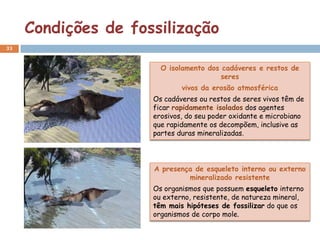 Condições de fossilização
33


                       O isolamento dos cadáveres e restos de
                                        seres
                             vivos da erosão atmosférica
                     Os cadáveres ou restos de seres vivos têm de
                     ficar rapidamente isolados dos agentes
                     erosivos, do seu poder oxidante e microbiano
                     que rapidamente os decompõem, inclusive as
                     partes duras mineralizadas.




                     A presença de esqueleto interno ou externo
                              mineralizado resistente
                     Os organismos que possuem esqueleto interno
                     ou externo, resistente, de natureza mineral,
                     têm mais hipóteses de fossilizar do que os
                     organismos de corpo mole.
 