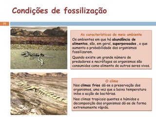 Condições de fossilização
35



                         As características do meio ambiente
                    Os ambientes em que há abundância de
                    alimentos, são, em geral, superpovoados , o que
                    aumenta a probabilidade dos organismos
                    fossilizarem.
                    Quando existe um grande número de
                    predadores e necrófagos os organismos são
                    consumidos como alimento de outros seres vivos.



                                         O clima
                     Nos climas frios dá-se a preservação dos
                     organismos, uma vez que a baixa temperatura
                     inibe a acção de bactérias.
                     Nos climas tropicais quentes e húmidos a
                     decomposição dos organismos dá-se de forma
                     extremamente rápida.
 