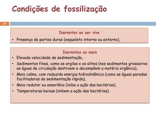 Condições de fossilização
36


                              Inerentes ao ser vivo
     • Presença de partes duras (esqueleto interno ou externo),


                                Inerentes ao meio
     • Elevada velocidade de sedimentação,
     • Sedimentos finos, como as argilas e os siltes (nos sedimentos grosseiros
       as águas de circulação destroem e decompõem a matéria orgânica),
     • Meio calmo, com reduzida energia hidrodinâmica (como as águas paradas
       facilitadoras da sedimentação rápida),
     • Meio redutor ou anaeróbio (inibe a ação das bactérias),
     • Temperaturas baixas (inibem a ação das bactérias).
 