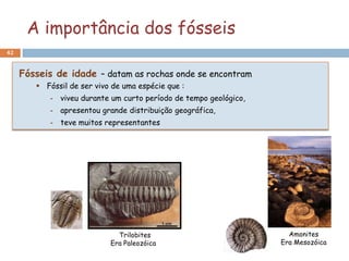 A importância dos fósseis
42


     Fósseis de idade – datam as rochas onde se encontram
         Fóssil de ser vivo de uma espécie que :
           - viveu durante um curto período de tempo geológico,
           - apresentou grande distribuição geográfica,
           - teve muitos representantes




                              Trilobites                            Amonites
                            Era Paleozóica                        Era Mesozóica
 