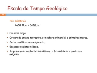 Escala do Tempo Geológico
74



       Pré-Câmbrico
            4600 M. a. – 542M. a.


      Era mais longa.
      Origem da crusta terrestre, atmosfera primordial e primeiros mares.
      Seres aquáticos sem esqueleto.
      Escassos registos fósseis.
      As primeiras cianobactérias utilizam a fotossíntese e produzem
       oxigénio.
 