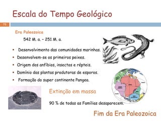 Escala do Tempo Geológico
75


      Era Paleozoica
          542 M. a. – 251 M. a.

      Desenvolvimento das comunidades marinhas.
      Desenvolvem-se os primeiros peixes.
      Origem dos anfíbios, insectos e répteis.
      Domínio das plantas produtoras de esporos.
      Formação do super continente Pangea.

                        Extinção em massa

                        90 % de todas as Famílias desaparecem.

                                                  Fim da Era Paleozoica
 