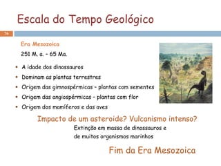 Escala do Tempo Geológico
76


       Era Mesozoica
       251 M. a. – 65 Ma.

      A idade dos dinossauros
      Dominam as plantas terrestres
      Origem das gimnospérmicas – plantas com sementes
      Origem das angiospérmicas – plantas com flor
      Origem dos mamíferos e das aves

             Impacto de um asteroide? Vulcanismo intenso?
                            Extinção em massa de dinossauros e
                            de muitos organismos marinhos

                                         Fim da Era Mesozoica
 