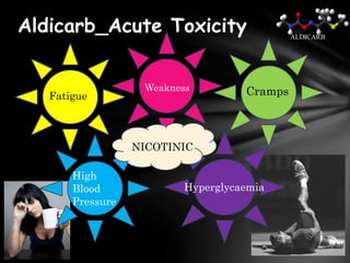 Aldicarb_Acute Toxicity                         ALDICARB



Muscular effects :

                      Weakness         Cramps
    Fatigue



                     NICOTINIC

        High
        Blood                Hyperglycaemia
        Pressure
 