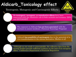 Aldicarb_Toxicology effect
  Teratogenic, Mutagenic and Carcinogenic Effects

        No teratogenic, mutagenic, or reproductive effects have been
        associated with the chemical's use in both animals and humans. [EPA
        and EXTOXNET]



            The exposure to Aldicarb has not been associated with the
            increase in cancer incidence. [National Toxicology Program]



            Aldicarb has possibility of carcinogenic due to the potential of in
            vivo transformation to the nitroso derivative. [Richer et al]



        “Although no one study is unacceptable, the collective data from the
        several studies provide sufficient evidence on the lack of an oncogenic
        effect.” California’s Department of Pesticide Regulation
 