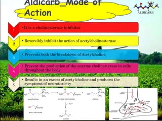 Aldicarb_Mode of
     Action                                                          ALDICARB



    •It is a cholinesterase inhibitor
1

    • Reversibly inhibit the action of acetylcholinesterase
2

    • Prevents both the breakdown of Acetylcholine
3

    • Prevent the production of the enzyme cholinesterase in cells
4     throughout the body

    • Results in an excess of acetylcholine and produces the
5     symptoms of neurotoxicity
 