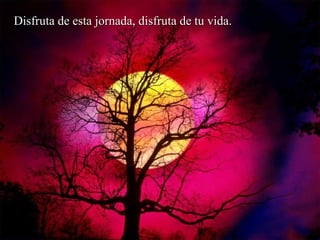 Disfruta de esta jornada, disfruta de tu vida. 