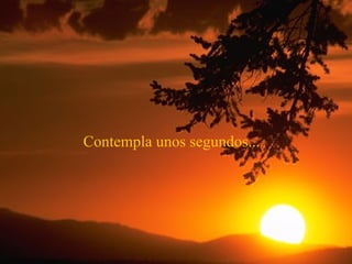 Contempla unos segundos... 