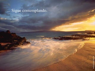 ... Sigue contemplando. 