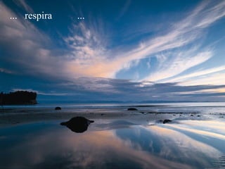 ...  respira  ... 