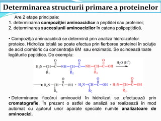 1-Amino-acids-2016.pdf