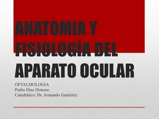 ANATOMIA Y
FISIOLOGÍA DEL
APARATO OCULAR
OFTALMOLOGIA
Pedro Díaz Donoso
Catedrático: Dr. Armando Gutiérrez
 