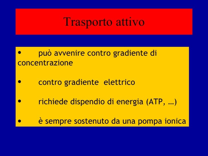 Forze di starling filtrazione glomerulare Forze di starling filtrazione glomerulare