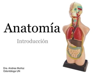 Anatomía
          Introducción



Dra. Andrea Muñoz
Odontóloga UN
 