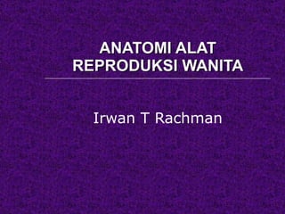 ANATOMI ALAT REPRODUKSI WANITA Irwan T Rachman 