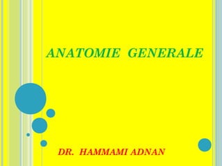ANATOMIE GENERALE 
DR. HAMMAMI ADNAN 
 