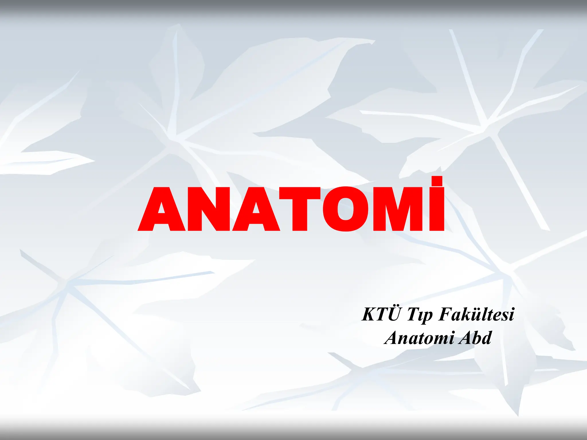 1- Anatomi firt simple anatomi basıit anatomi | PPT