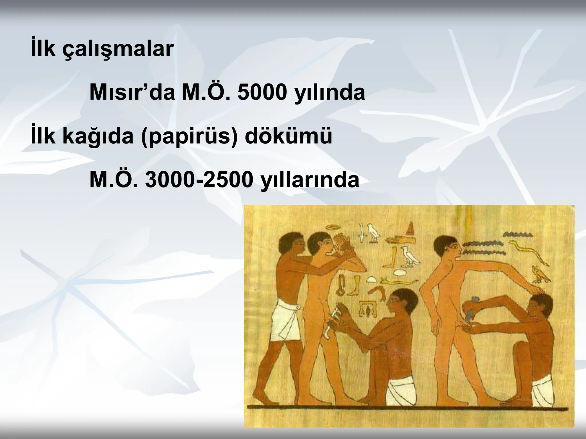 1- Anatomi firt simple anatomi basıit anatomi | PPT