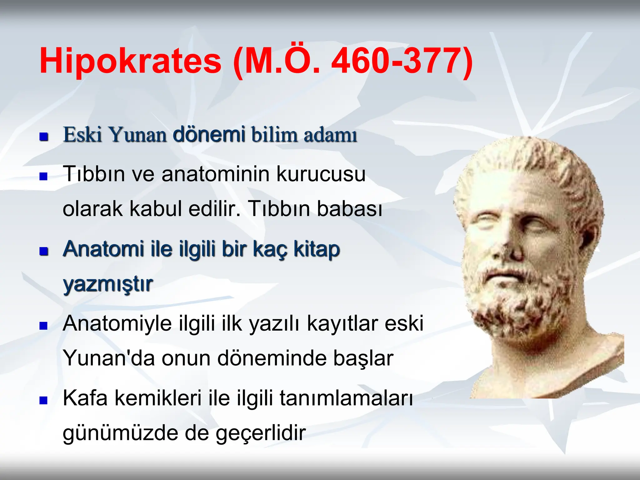1- Anatomi firt simple anatomi basıit anatomi | PPT