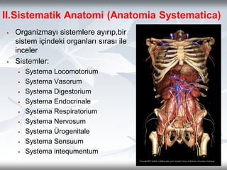 1- Anatomi firt simple anatomi basıit anatomi | PDF