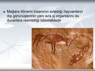 1- Anatomi firt simple anatomi basıit anatomi | PDF