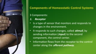 1-ANATOMY-2022-INTRODUCTION.pptx and chapter 3 | PPTX