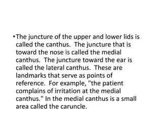 Juncture Photo Example 1-Anatomy-and embryology lecture of-the-EYE.pdf