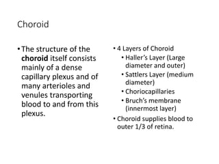 1-Anatomy-and embryology lecture of-the-EYE.pdf