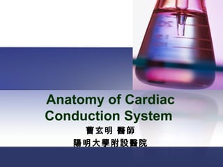 Anatomy of Cardiac
Conduction System
    曹玄明 醫師
   陽明大學附設醫院
 