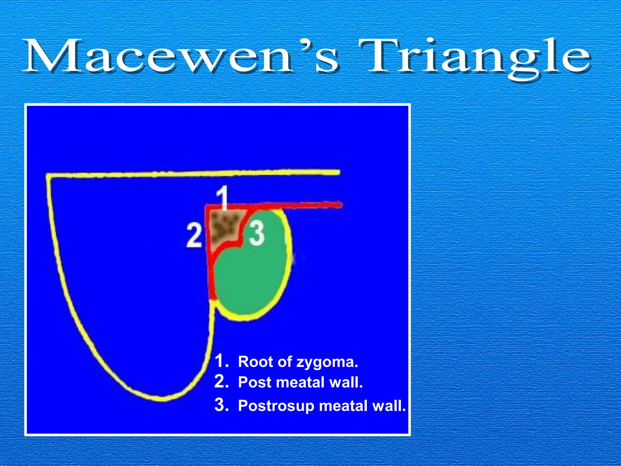 1-Anatomy of ear Anatomy of ear Anatomy of ear Anatomy of ear .pdf