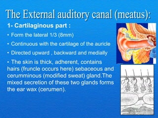 Shell Of An Ear 1-Anatomy of ear Anatomy of ear Anatomy of ear Anatomy of ear .pdf