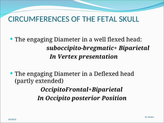 1- Anatomy of the female genital organ[1][2]-2.ppt