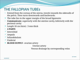 1- Anatomy of the female genital organ[1][2]-2.pptx