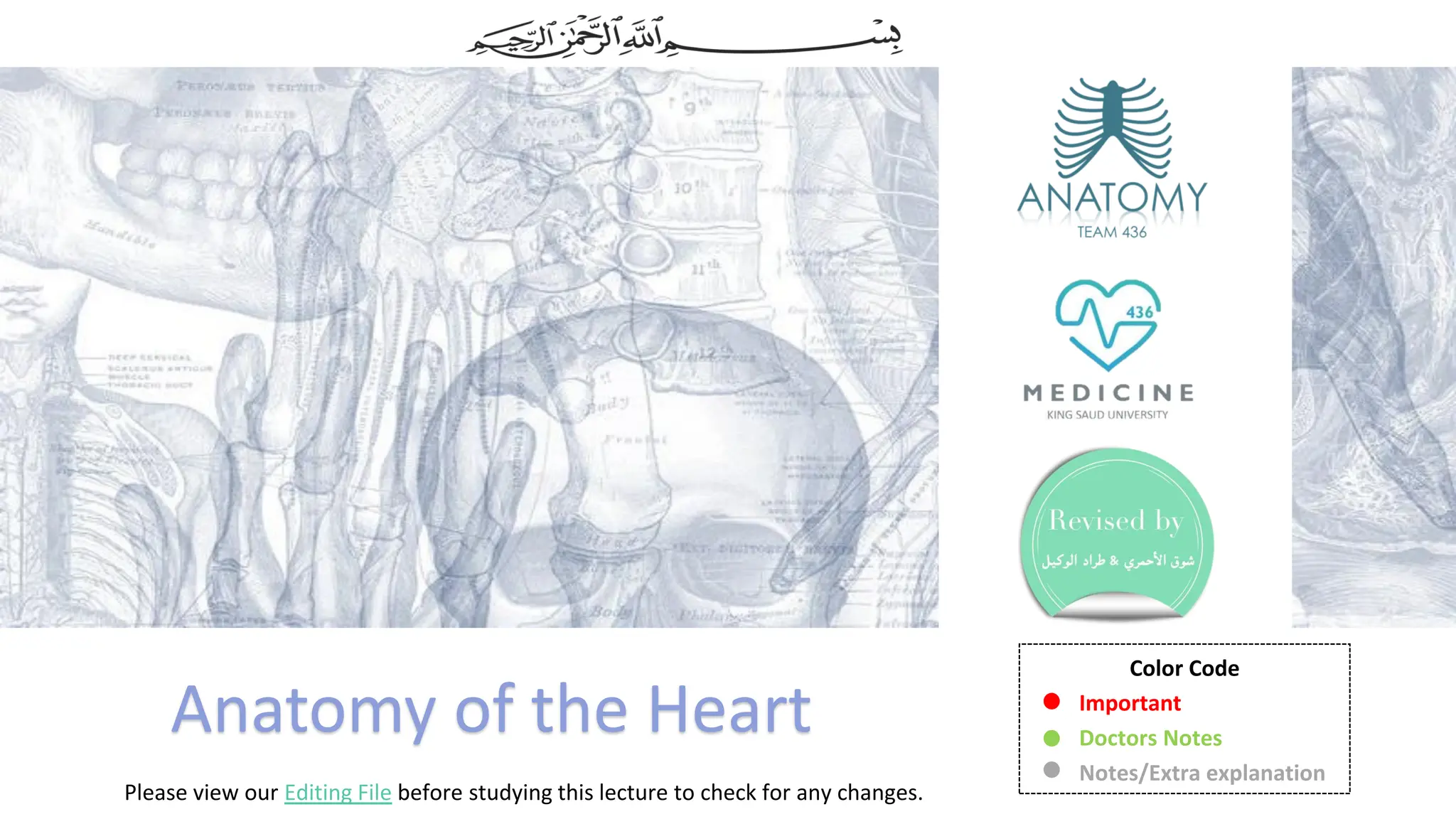 Anatomy of the Heart chambers and valves of the heart.pdf