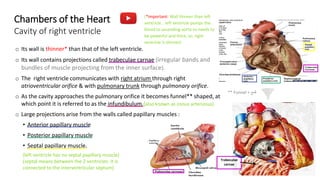 Anatomy of the Heart chambers and valves of the heart.pdf